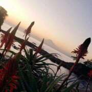 ヒメ日記 2025/12/01 13:48 投稿 あさみ 熟女デリヘル倶楽部