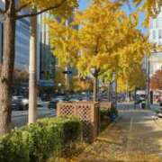 ヒメ日記 2025/12/12 08:18 投稿 あさみ 熟女デリヘル倶楽部