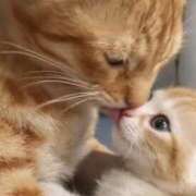 ヒメ日記 2026/01/08 20:23 投稿 あさみ 熟女デリヘル倶楽部