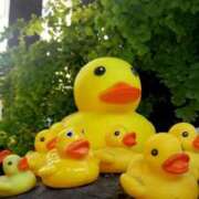 ヒメ日記 2026/01/17 17:35 投稿 あさみ 熟女デリヘル倶楽部