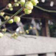 ヒメ日記 2026/02/01 06:30 投稿 あさみ 熟女デリヘル倶楽部