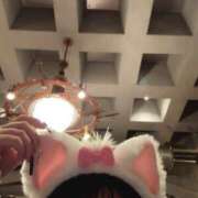 ヒメ日記 2025/04/25 16:41 投稿 うい 新橋フェアリーズ