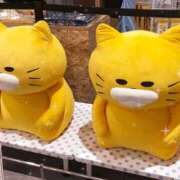 ヒメ日記 2025/03/22 13:53 投稿 上原えな 五反田ヒーローズ（ユメオト）