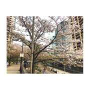 ヒメ日記 2025/04/13 00:35 投稿 上原えな 五反田ヒーローズ（ユメオト）