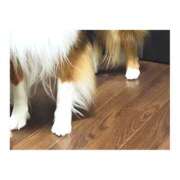 ヒメ日記 2025/05/26 21:25 投稿 上原えな 五反田ヒーローズ（ユメオト）