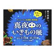 ヒメ日記 2025/05/31 11:10 投稿 上原えな 五反田ヒーローズ（ユメオト）