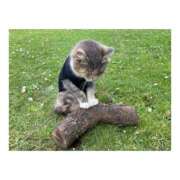 ヒメ日記 2025/07/08 21:25 投稿 上原えな 五反田ヒーローズ（ユメオト）