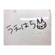 ヒメ日記 2025/08/06 11:03 投稿 上原えな 五反田ヒーローズ（ユメオト）