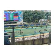 ヒメ日記 2025/11/19 18:43 投稿 上原えな 五反田ヒーローズ（ユメオト）