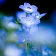 土屋綾香 こんにちは。 五十路マダム愛されたい熟女たち 福山店(カサブランカグループ)