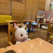 ヒメ日記 2025/05/31 18:25 投稿 まみ バニラシュガー古河店