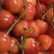 ヒメ日記 2025/06/25 03:06 投稿 なお 横浜ミセスアロマ（ユメオト）