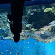 ヒメ日記 2025/07/08 16:56 投稿 なお 横浜ミセスアロマ（ユメオト）