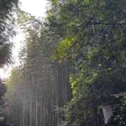 ヒメ日記 2025/08/19 18:06 投稿 なお 横浜ミセスアロマ（ユメオト）