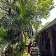 ヒメ日記 2025/08/29 22:19 投稿 なお 横浜ミセスアロマ（ユメオト）