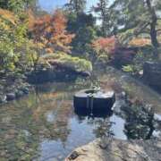 ヒメ日記 2025/11/18 17:21 投稿 なお 横浜ミセスアロマ（ユメオト）