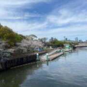 ヒメ日記 2026/04/07 13:30 投稿 Kurumi ワンカラット～人妻の輝き～