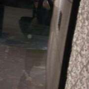 ヒメ日記 2025/05/07 11:06 投稿 Seika ワンカラット～人妻の輝き～