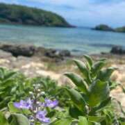 ヒメ日記 2025/06/12 00:38 投稿 Seika ワンカラット～人妻の輝き～