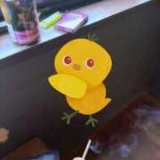 ヒメ日記 2026/01/27 13:14 投稿 Seika ワンカラット～人妻の輝き～