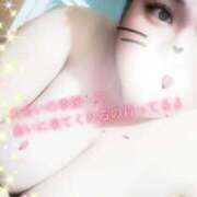 ヒメ日記 2025/04/09 19:21 投稿 みほ 久喜鷲宮ちゃんこ