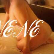 ヒメ日記 2026/01/29 06:33 投稿 ねね 妻天 十三店