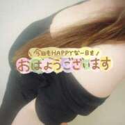ヒメ日記 2026/07/08 08:06 投稿 ねね 妻天 十三店
