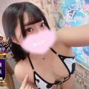 すず なんでもシたい🔞 One More奥様　横浜関内店