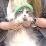 ヒメ日記 2025/04/20 19:44 投稿 ほのか 素人エロカワ小悪魔誘惑バニーガール