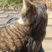 ヒメ日記 2025/08/29 18:31 投稿 ほのか 素人エロカワ小悪魔誘惑バニーガール