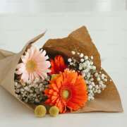 ヒメ日記 2025/06/25 22:15 投稿 藤崎ゆい 癒されるワイフ