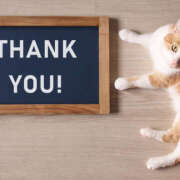 ヒメ日記 2025/07/05 22:45 投稿 藤崎ゆい 癒されるワイフ