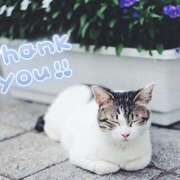 ヒメ日記 2025/07/11 12:44 投稿 藤崎ゆい 癒されるワイフ