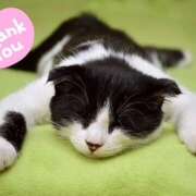 ヒメ日記 2025/07/15 21:20 投稿 藤崎ゆい 癒されるワイフ