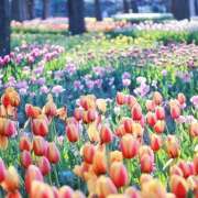 ヒメ日記 2025/07/18 21:46 投稿 藤崎ゆい 癒されるワイフ