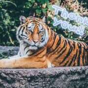 ヒメ日記 2025/07/18 22:08 投稿 藤崎ゆい 癒されるワイフ