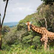 ヒメ日記 2025/07/30 05:56 投稿 藤崎ゆい 癒されるワイフ