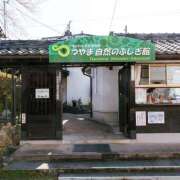 ヒメ日記 2025/08/01 23:47 投稿 藤崎ゆい 癒されるワイフ