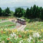 ヒメ日記 2025/08/04 22:18 投稿 藤崎ゆい 癒されるワイフ