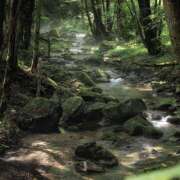 ヒメ日記 2025/08/06 00:12 投稿 藤崎ゆい 癒されるワイフ