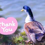 ヒメ日記 2025/08/16 23:15 投稿 藤崎ゆい 癒されるワイフ