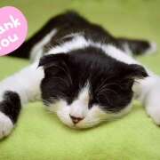 ヒメ日記 2025/09/14 20:35 投稿 藤崎ゆい 癒されるワイフ