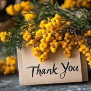 ヒメ日記 2025/09/16 17:23 投稿 藤崎ゆい 癒されるワイフ