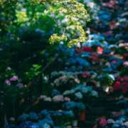 ヒメ日記 2025/09/23 20:32 投稿 藤崎ゆい 癒されるワイフ