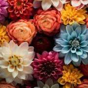 ヒメ日記 2025/09/26 19:55 投稿 藤崎ゆい 癒されるワイフ