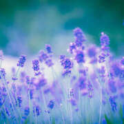 ヒメ日記 2025/10/05 22:11 投稿 藤崎ゆい 癒されるワイフ