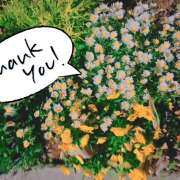 ヒメ日記 2025/10/06 17:08 投稿 藤崎ゆい 癒されるワイフ