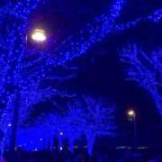 ヒメ日記 2025/12/27 18:48 投稿 なのは 小田原人妻城