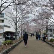 ヒメ日記 2026/04/01 18:50 投稿 つきの ○コキクリニック～○○クリニックシリーズ～