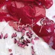 ヒメ日記 2025/03/23 01:30 投稿 なつめ 木更津人妻花壇